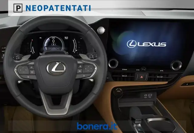 Lexus NX view 5