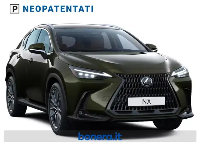 Lexus NX view 2