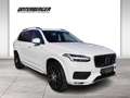 Volvo XC90 D5 AWD Kinetic Service 4 Bremsen Pickerl neu RFK A Wit - thumbnail 5