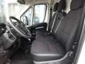 Peugeot Boxer -E L3H2 Premium 70kwh Weiß - thumbnail 6