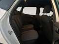 SEAT Arona 1.0 TSI S&S X-Perience Special Edition 115 Blanco - thumbnail 6