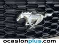 Ford Mustang Convertible 2.3 EcoBoost Aut. Blanco - thumbnail 15