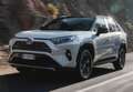 Toyota RAV 4 2.5 hybrid 2WD Luxury - thumbnail 6