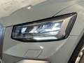 Audi Q2 35 1.5 tfsi Business s-tronic Grigio - thumbnail 7