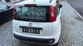 Fiat Panda My Panda Weiß - thumbnail 6
