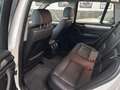BMW X3 xDrive 20d Automatik Navi Leder Sitzheizung Blanc - thumbnail 15