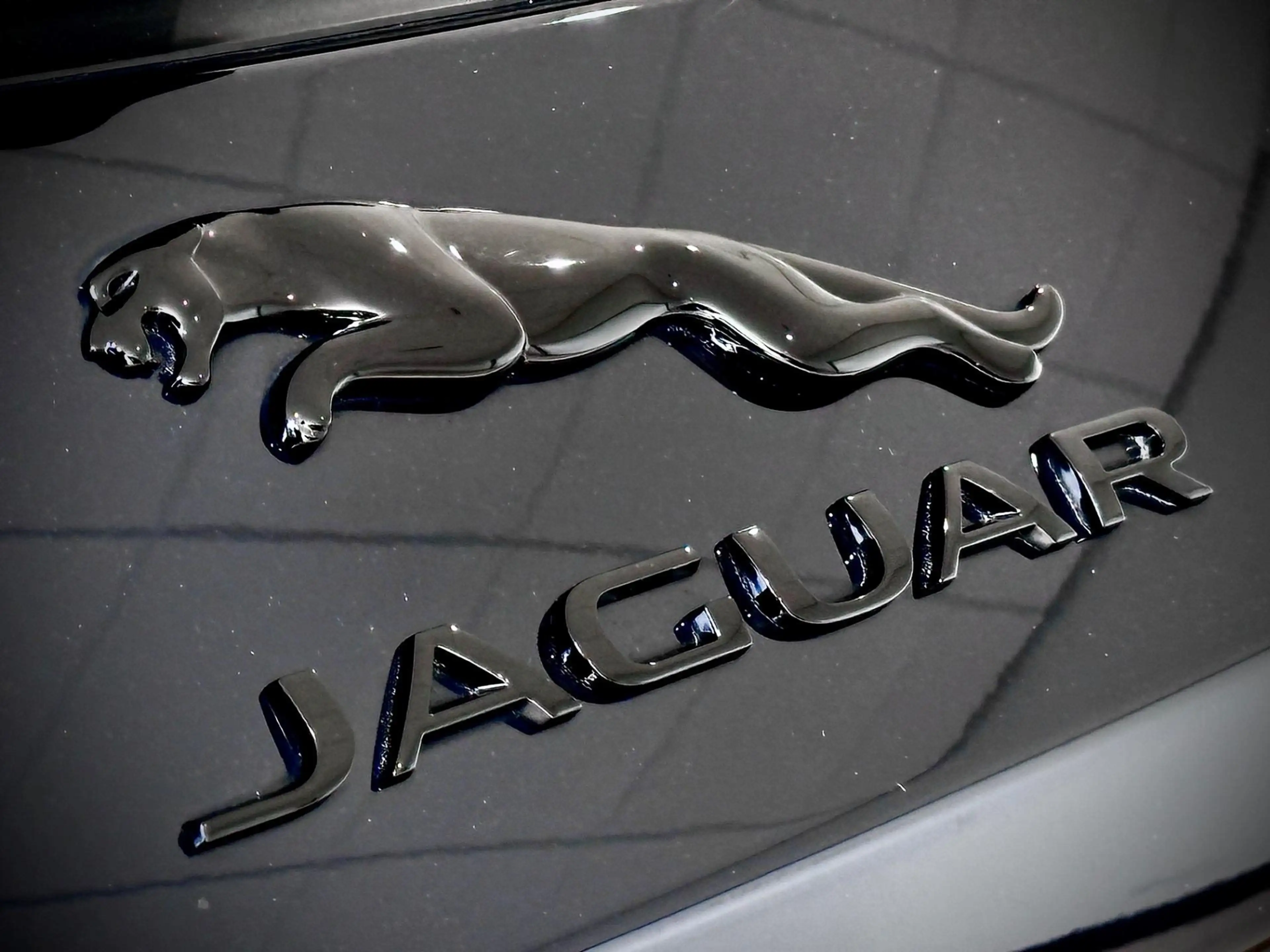 Jaguar F-Pace P400e R-Dynamic Black | Panorama dak | Cold Climat — photo 30