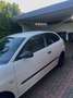 SEAT Ibiza 1.2 12V Amaro - thumbnail 5