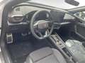 CUPRA Formentor 2.0 TDI 150CV DSG Bianco - thumbnail 6