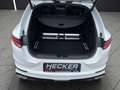 Kia ProCeed / pro_cee'd .6 T-GDI GT *Autom.*Pano*Navi* Blanc - thumbnail 15