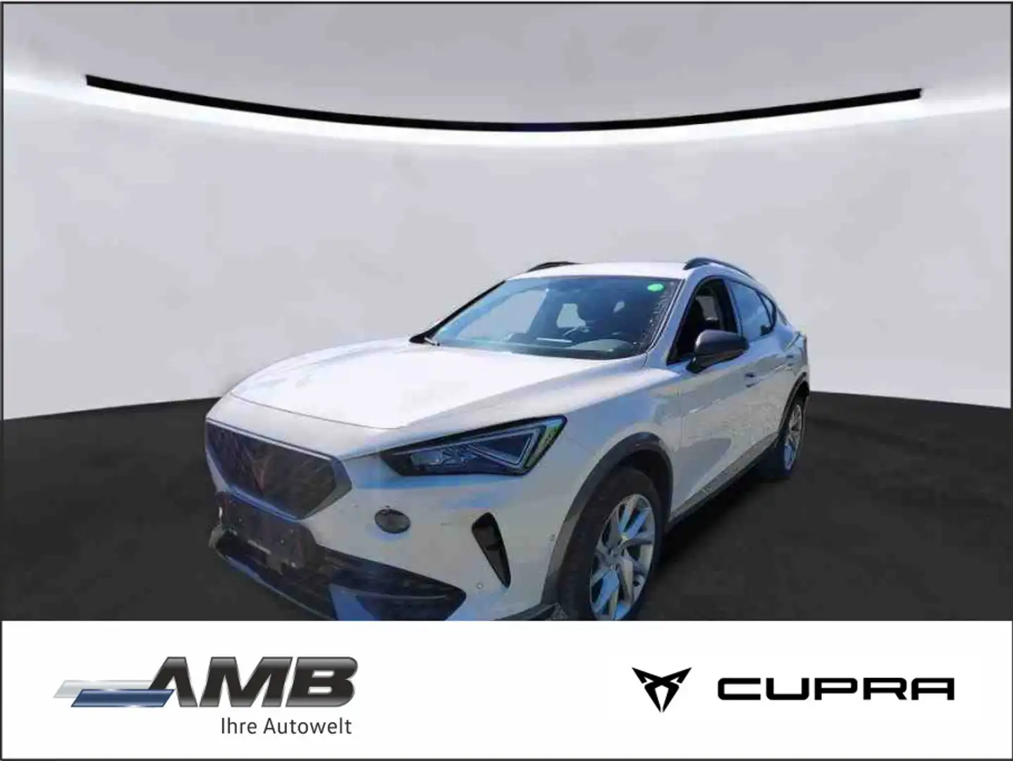 CUPRA Formentor 2.0 TDI 4Dr. DSG/AHK/Nav/Standhzg/360° Weiß - 1