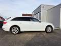 Audi A4 AVANT 35 TDI AUTOM VIRTUAL LEDER AHK Wit - thumbnail 4