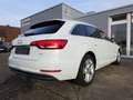 Audi A4 AVANT 35 TDI AUTOM VIRTUAL LEDER AHK Wit - thumbnail 5