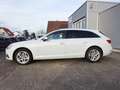 Audi A4 AVANT 35 TDI AUTOM VIRTUAL LEDER AHK Wit - thumbnail 8