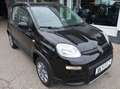 Fiat Panda Panda Classic 4x4 1,3 Multijet II 75 Climbing Schwarz - thumbnail 7