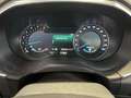 Ford Edge 2.0 EcoBlue Titanium 4x4 B&O Matrix AHK Pano Schwarz - thumbnail 9
