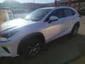 Lexus NX 300h White - thumbnail 10