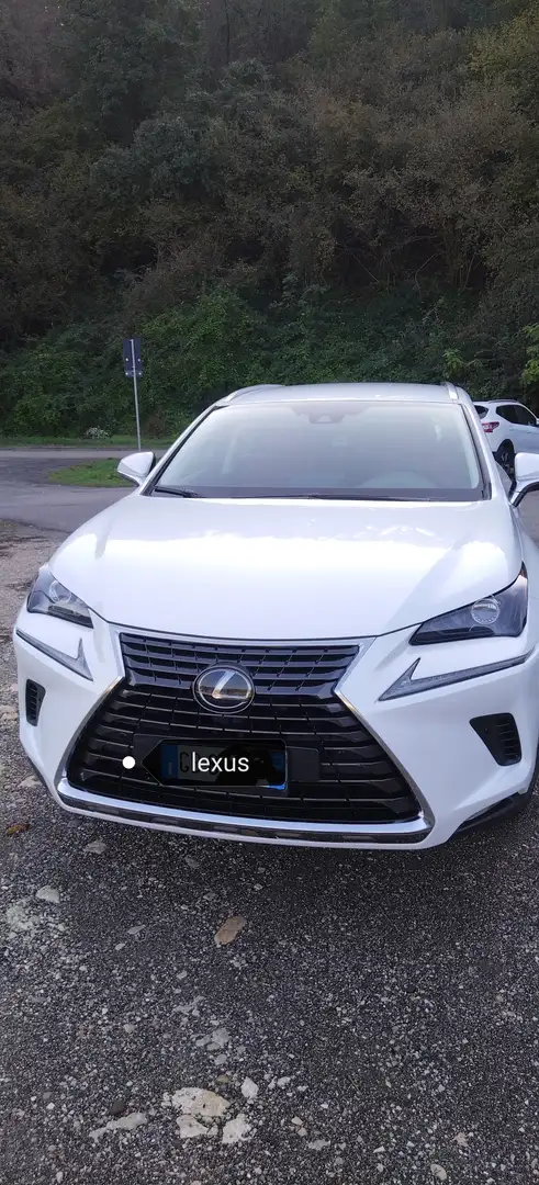 Lexus NX 300h White - 1