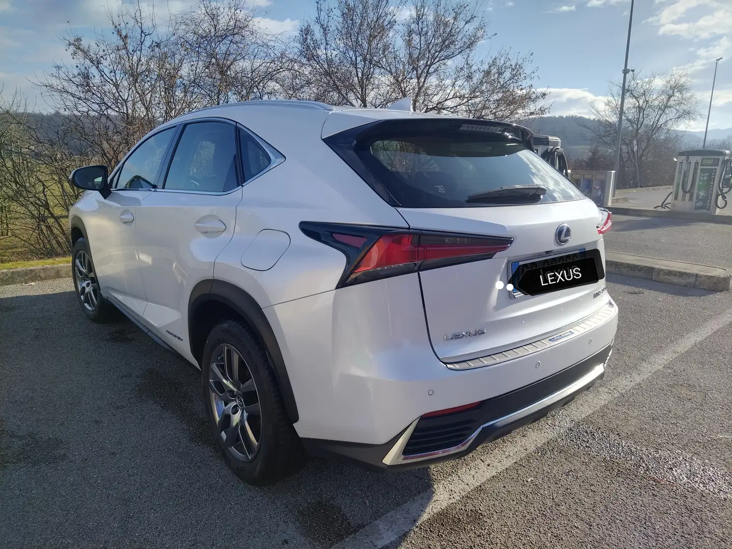 Lexus NX 300h White - 2