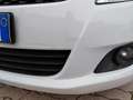 Suzuki Swift Swift V 2010 5p 1.2 vvt GL Style Bianco - thumbnail 8