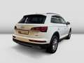 Audi Q5 40 TDI quattro AHK Pano Virtual Navi LED Busi Weiß - thumbnail 4