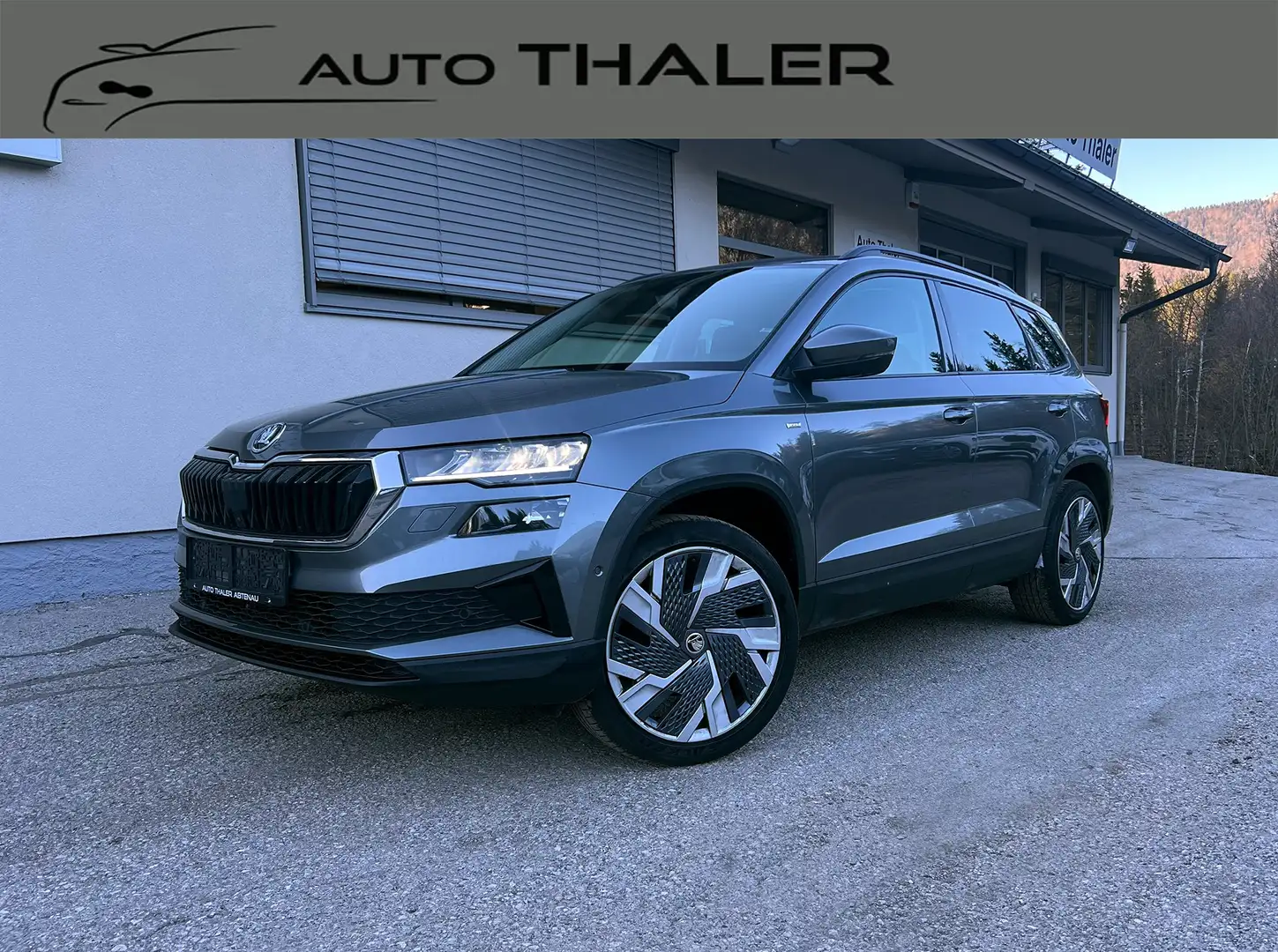 Skoda Karoq Karoq 2,0 TDI 4x4 DSG Ambition Grau - 1