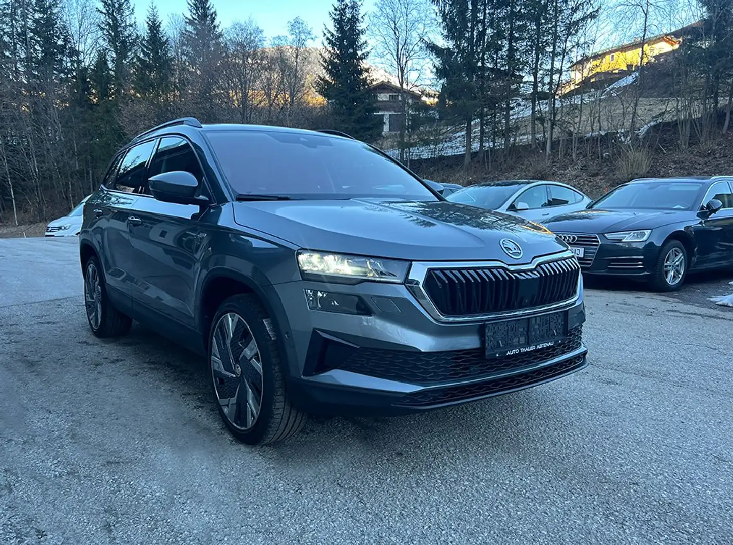 Skoda Karoq Karoq 2,0 TDI 4x4 DSG Ambition Grau - 2