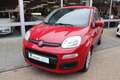 Fiat Panda 0.9 TwinAir Edizione Cool . Rood - thumbnail 2