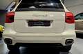 Porsche Cayenne S Blanco - thumbnail 4