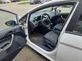 Ford Fiesta Trend 1,4 TDCi DPF Weiß - thumbnail 9