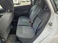 Ford Fiesta Trend 1,4 TDCi DPF Weiß - thumbnail 8