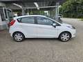 Ford Fiesta Trend 1,4 TDCi DPF Weiß - thumbnail 3