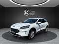 Ford Kuga Titanium X PHEV ''AHK+SHZ+RFK+CARPLAY'' Weiß - thumbnail 1
