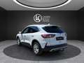 Ford Kuga Titanium X PHEV ''AHK+SHZ+RFK+CARPLAY'' Weiß - thumbnail 3