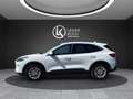 Ford Kuga Titanium X PHEV ''AHK+SHZ+RFK+CARPLAY'' Weiß - thumbnail 2