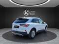 Ford Kuga Titanium X PHEV ''AHK+SHZ+RFK+CARPLAY'' Weiß - thumbnail 5