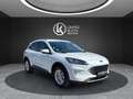 Ford Kuga Titanium X PHEV ''AHK+SHZ+RFK+CARPLAY'' Weiß - thumbnail 6