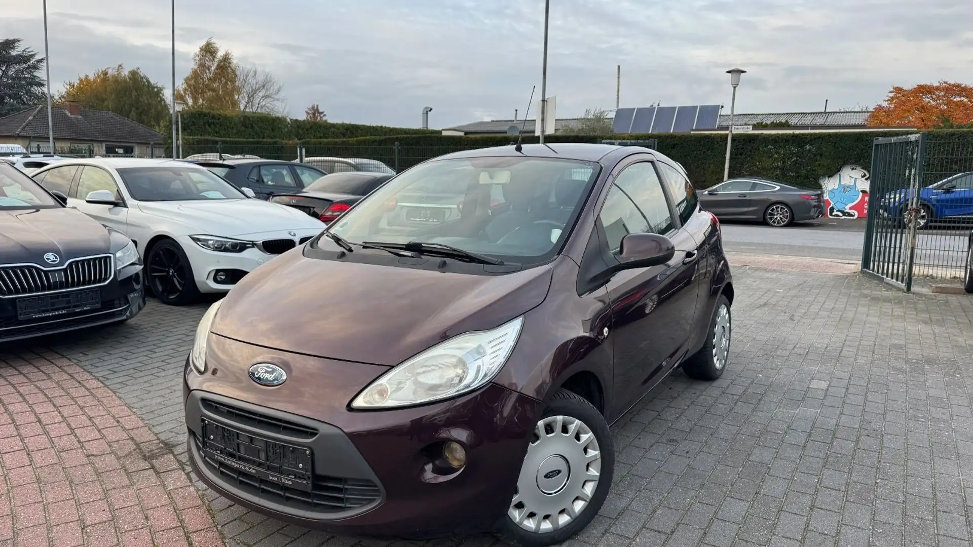 Ford Ka/Ka+ Titanium | KLIMA | TÜV/AU | SPARSAM Brun - 2