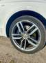 Audi SQ5 SQ5 3.0 TDI quattro tiptronic competition Weiß - thumbnail 6
