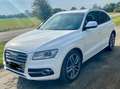 Audi SQ5 SQ5 3.0 TDI quattro tiptronic competition Weiß - thumbnail 1