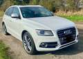 Audi SQ5 SQ5 3.0 TDI quattro tiptronic competition Weiß - thumbnail 3