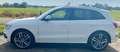 Audi SQ5 SQ5 3.0 TDI quattro tiptronic competition Weiß - thumbnail 4