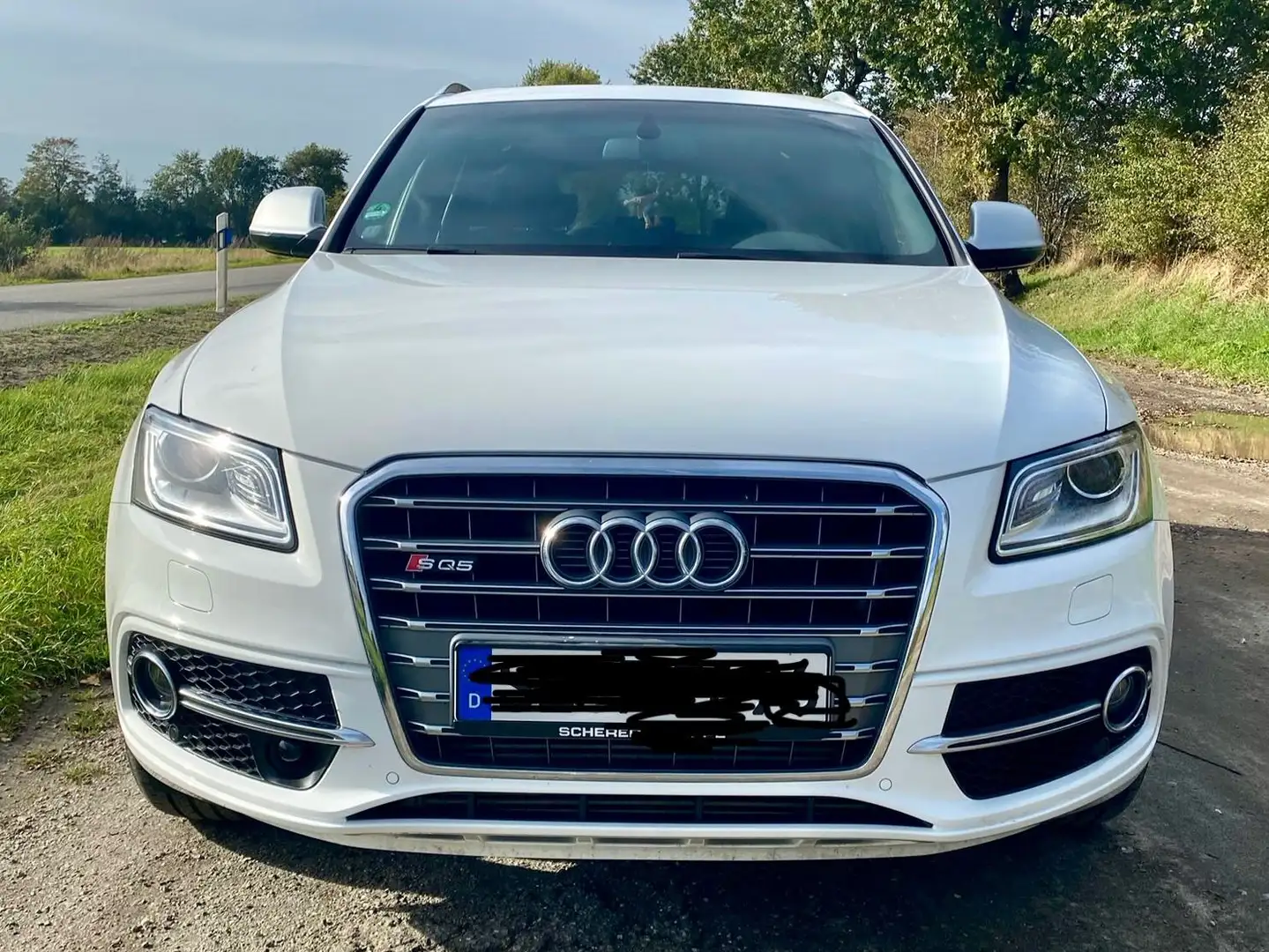 Audi SQ5 SQ5 3.0 TDI quattro tiptronic competition Weiß - 2