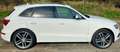 Audi SQ5 SQ5 3.0 TDI quattro tiptronic competition Weiß - thumbnail 5
