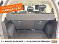 Ford EcoSport 1.0 ecoboost active s&s 125cv Bianco - thumbnail 11