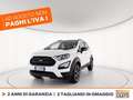 Ford EcoSport 1.0 ecoboost active s&s 125cv Bianco - thumbnail 1