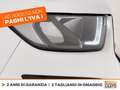 Ford EcoSport 1.0 ecoboost active s&s 125cv Bianco - thumbnail 13