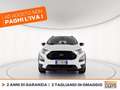 Ford EcoSport 1.0 ecoboost active s&s 125cv Bianco - thumbnail 2