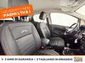Ford EcoSport 1.0 ecoboost active s&s 125cv Bianco - thumbnail 7