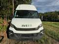 Iveco Daily 35 C 17 Van Radstand 4100 Weiß - thumbnail 9